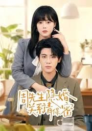 周先生隐婚关系请保密手机电影