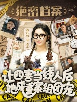 让四害当线人后，她成重案组团宠手机电影