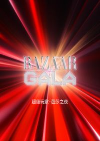 超级玩家芭莎之夜手机电影