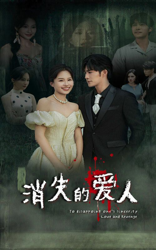 2018国产剧《消失的爱人》迅雷下载_中文完整版_百度云网盘720P|1080P资源