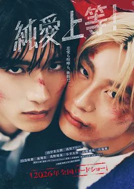 纯爱上等手机电影