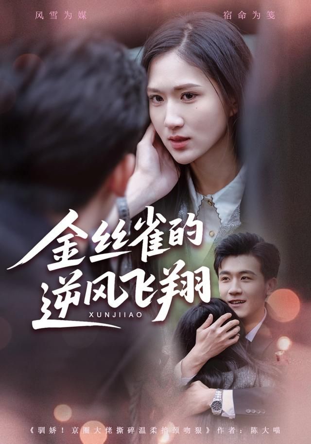 金丝雀的逆风飞翔手机电影