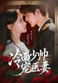 冷面少帅宠医妻手机电影