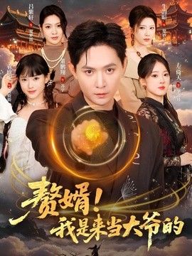 赘婿！我是来当大爷的手机电影