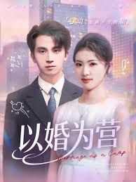 以婚为营手机电影