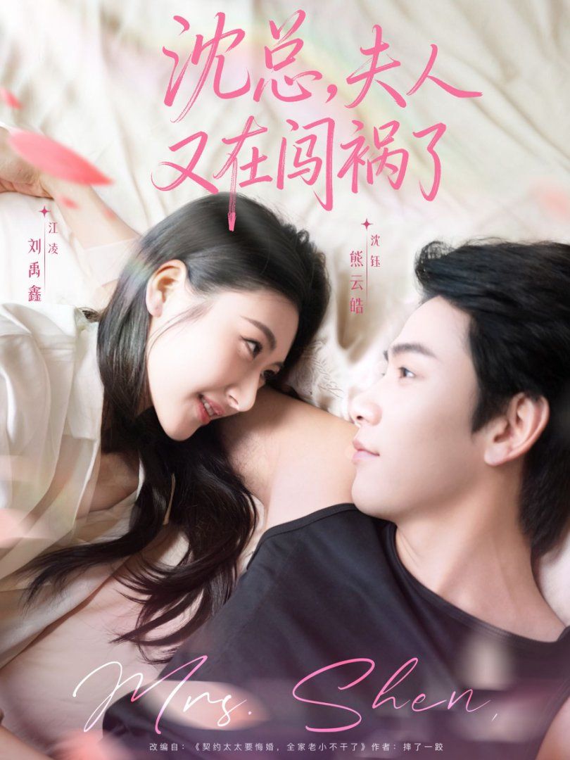 沈总，夫人又在闯祸了手机电影