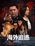 海外追逃手机电影
