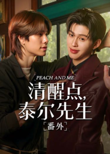 清醒点 泰尔先生番外篇手机电影