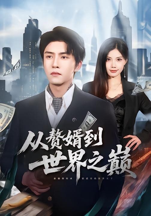 赘婿到世界之巅手机电影