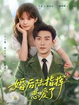 婚后陆指挥沦陷了手机电影