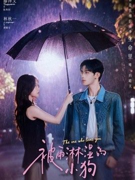 被雨淋湿的小狗手机电影
