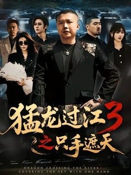 猛龙过江3之只手遮天手机电影