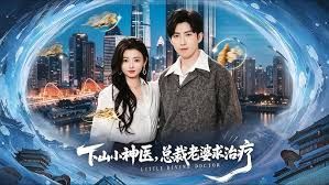 下山小神医，总裁老婆求治疗手机电影