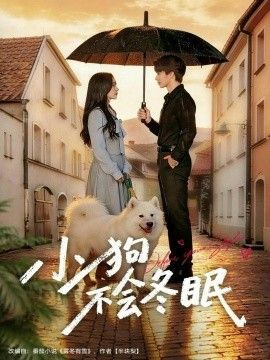 小狗不会冬眠手机电影