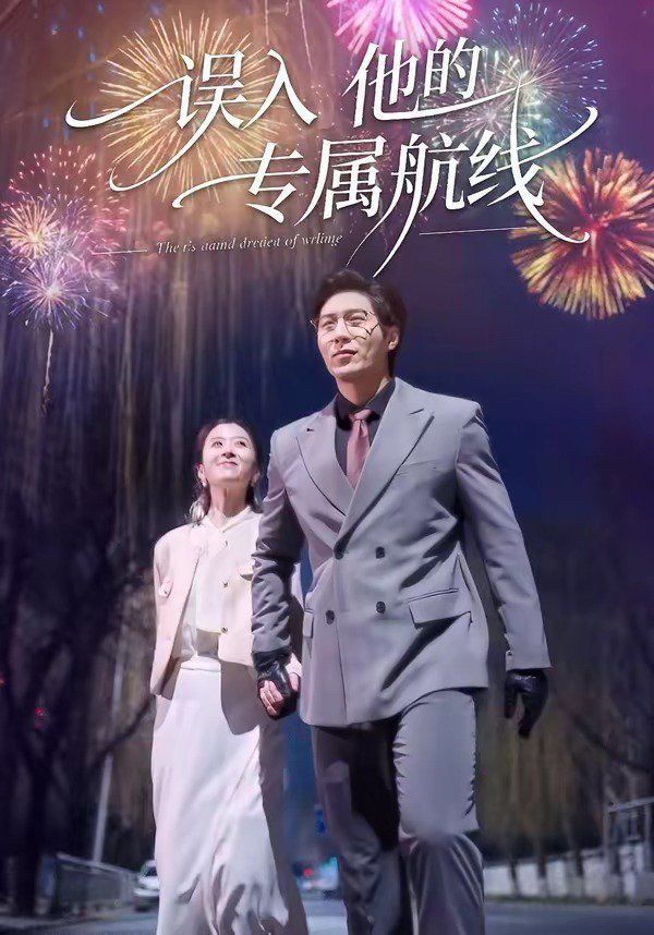 误入他的专属航手机电影