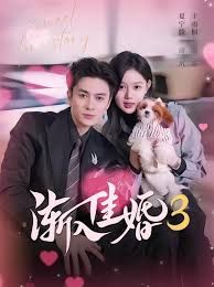 渐入佳婚3第三部手机电影