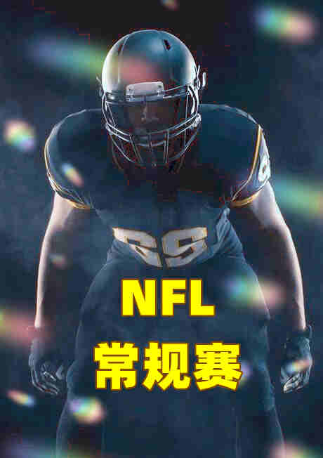 NFL常规赛-巨人vs海鹰-20221031