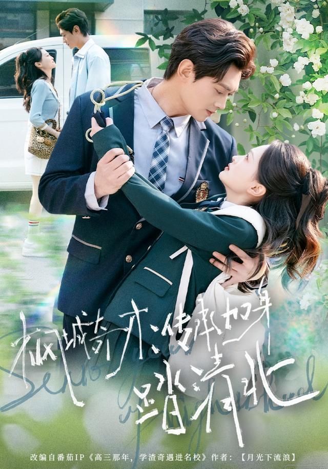 枫城奇才：传承加身踏清北手机电影