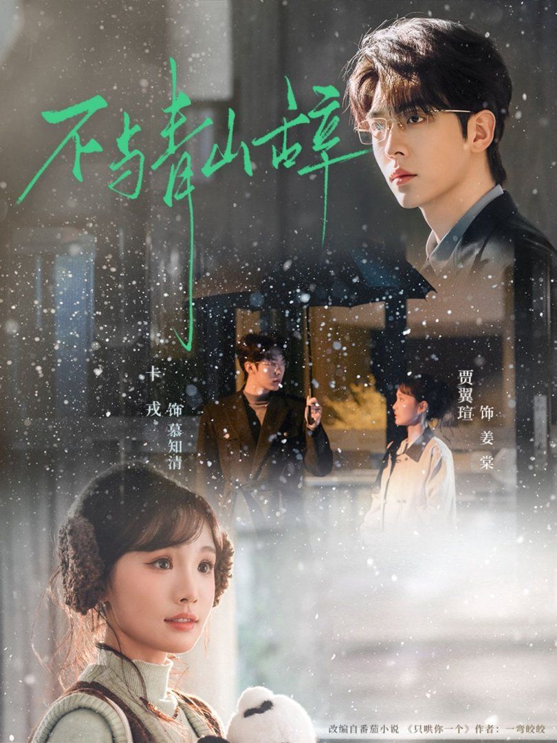 不与青山辞手机电影