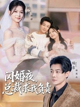 闪婚夜，总裁求我负责}