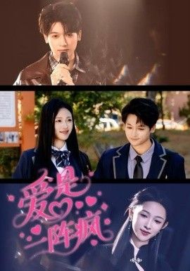 爱是一阵疯手机电影