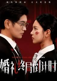 婚礼终局倒计时手机电影
