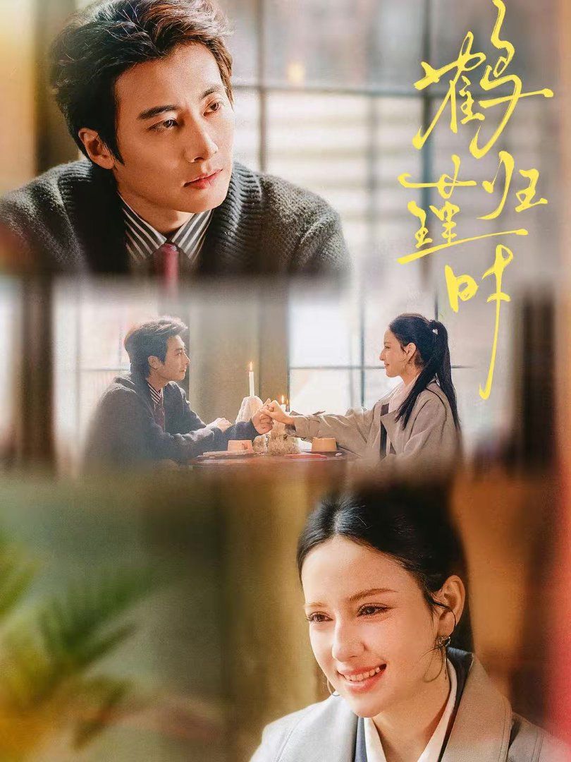 鹤归瑾时手机电影