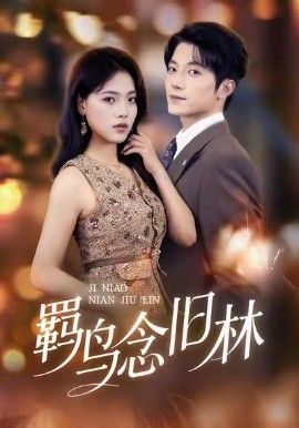 羁鸟念旧林手机电影