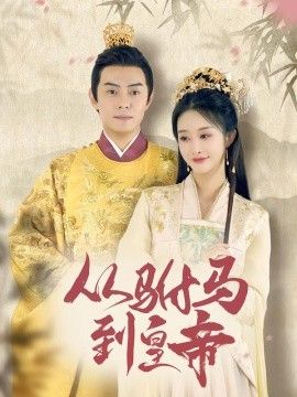 驸马凶猛（我做驸马那些年）（从驸马到皇帝）（天上掉下个驸马爷）手机电影