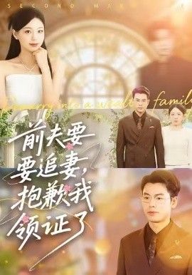 前夫要追妻，抱歉我领证了手机电影