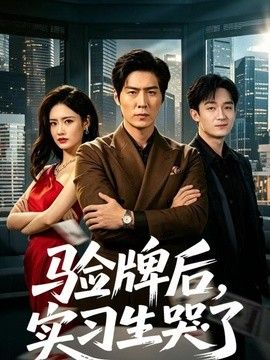验牌后，实习生哭了手机电影