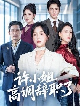 许小姐 高调辞职了手机电影