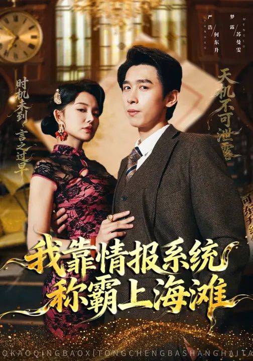 我靠情报系统称霸上海滩手机电影