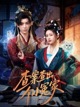 查案查出个小冤家手机电影