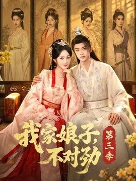 我家娘子，不对劲第三季手机电影