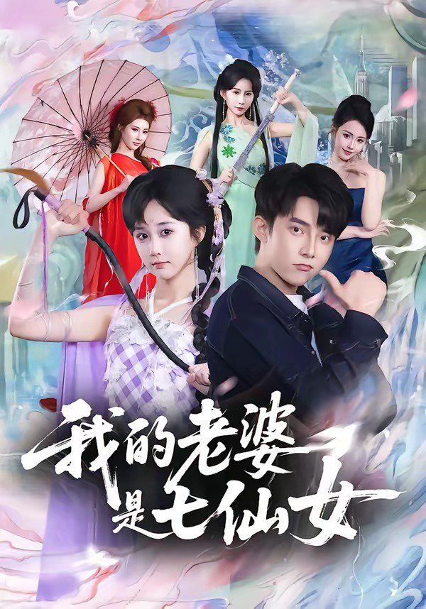 我的老婆是七仙女手机电影