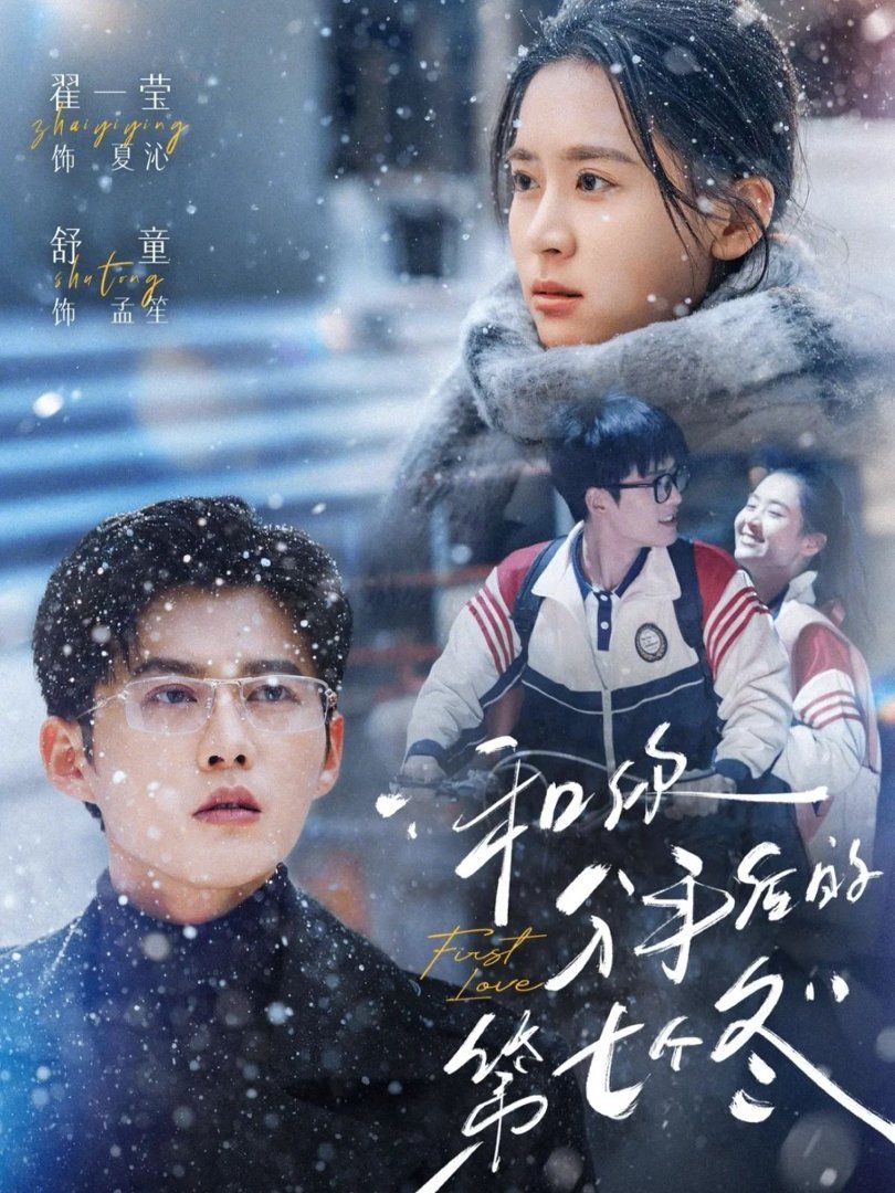 和你分手后的第七个冬手机电影