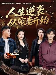 人生逆袭，从宠妻开始手机电影