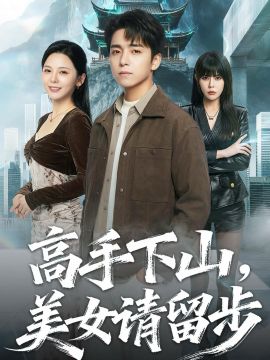 高手下山，美女请留步手机电影