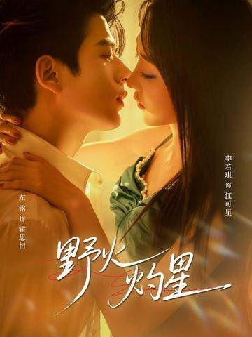 野火灼星手机电影