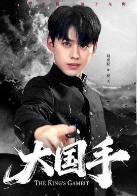 大国手手机电影