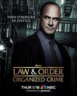 法律与秩序：组织犯罪 第四季