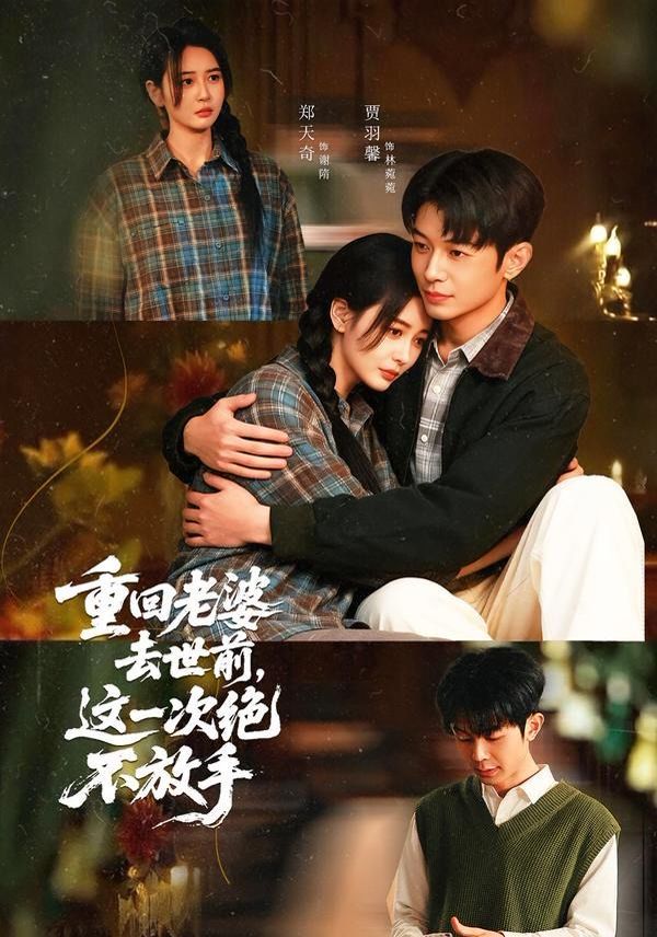 重回老婆去世前，这一次绝不放手手机电影