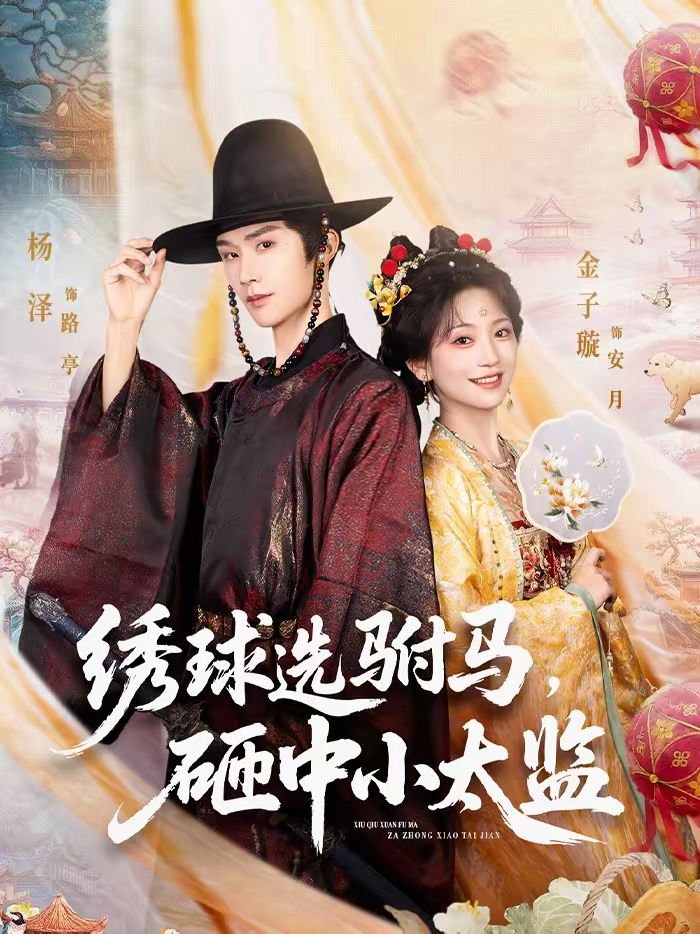 绣球选驸马，砸中小太监手机电影