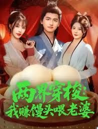 两界穿梭：我赚馒头喂老婆手机电影