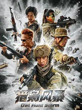 猎枭风暴手机电影