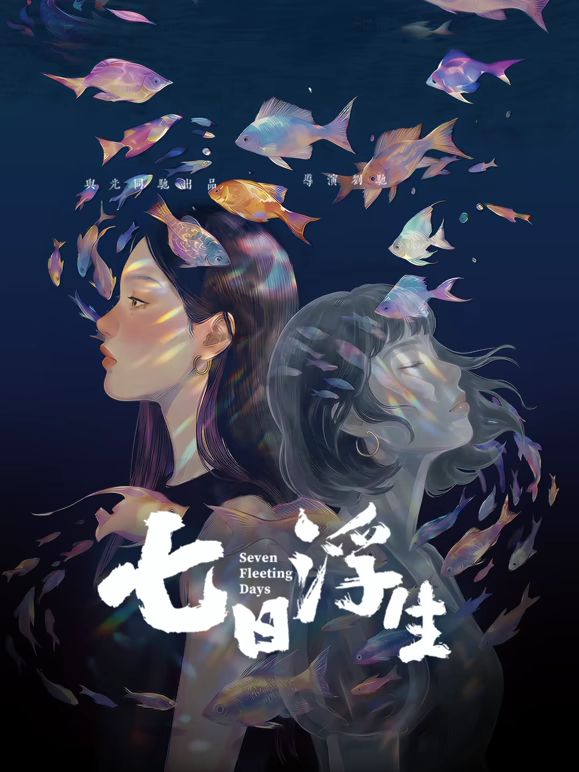 七日浮生手机电影