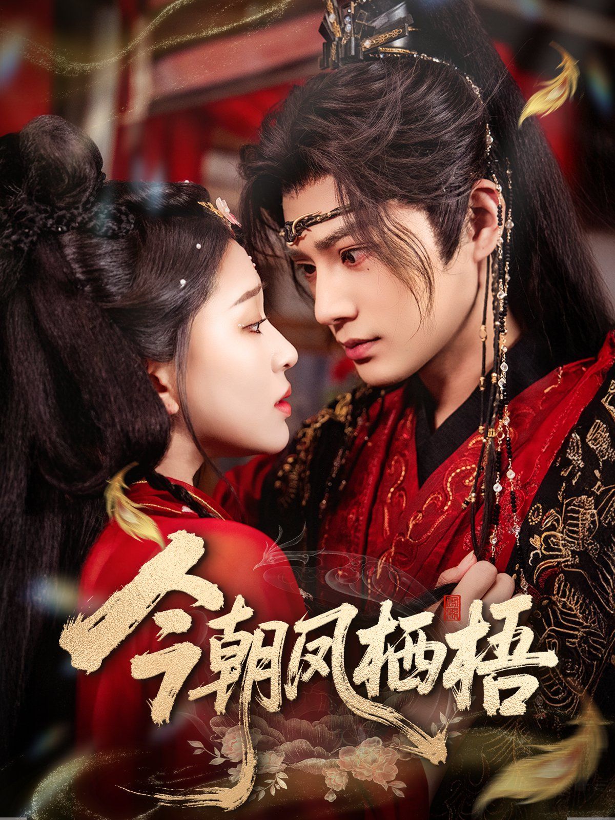 今朝凤栖梧手机电影