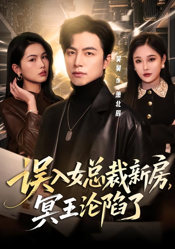 误入女总裁新房，冥王沦陷了手机电影