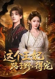 这个王妃路子野，得宠手机电影